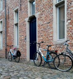 Bikes in Leuven