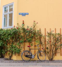 Bike leaning against wall